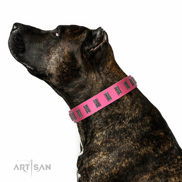 Corrosion resistant hardware on full grain leather dog collar for everyday walking your canine