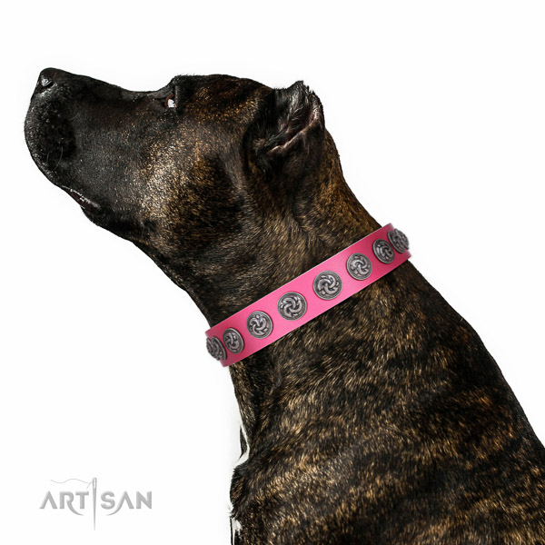 Easy wearing best quality full grain natural leather dog collar with decorations