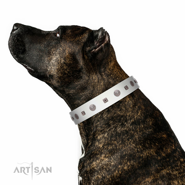Best quality full grain genuine leather dog collar with decorations