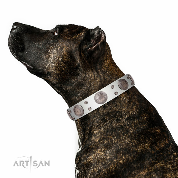 Easy wearing adorned genuine leather collar for your dog