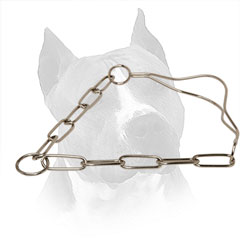 Chain Collar For Amstaff  Behavior Correction