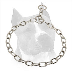 Choke Collar For Amstaff Made Of Chrome Plated Steel