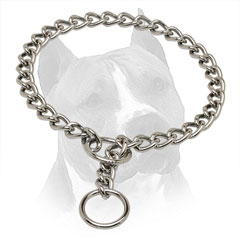 Amstaff Metal Choke Collar  With Chrome Plated O-Ring