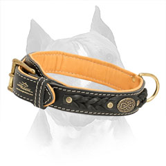 2 Ply Leather Amstaff Collar Braided