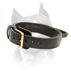 Easy Training Leather Collar for American Staffordshire Terrier Dog Breed