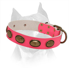 Pink Leather Collar for Amstaff Effective Training