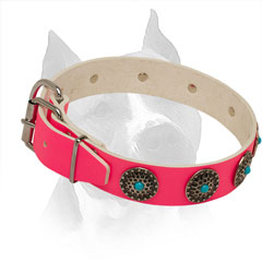 Pink Leather Collar for Amstaff with Rust Resistant Hardware