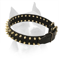 American Staffordshire Terrier Spiked Leather Collar for Everyday Walking 