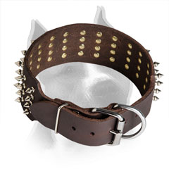 Amstaff Wide Leather Collar with Adjustable Hardware