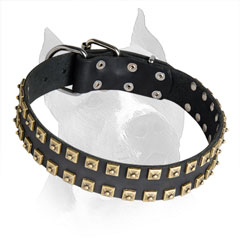 Amstaff Leather Collar with 2 Rows of Brass Pyramids