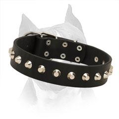 Amstaff Leather Collar with Rust-proof Hardware