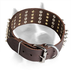 Leather Collar for Amstaff with Nickel Hardware