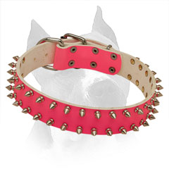 Spiked American Staffordshire Terrier Pink Leather Collar with Stylish Decoration