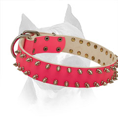 Amstaff Spiked Pink Leather Collar for Comfortable Daily Walks 