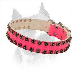 Collar Leather Pink Amstaff Stylish Walking
