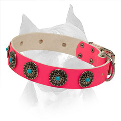 Pink Leather Amstaff Collar with Riveted Circles