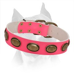 Amstaff Pink Leather Collar with Old Oval Plates