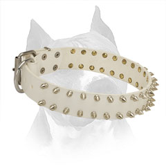 Amstaff Spiked White Leather Collar for Walking in Style