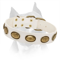 Amstaff White Leather Collar with Massive Oval Plates