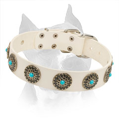 White Leather Amstaff Collar with Rust-proof Circles