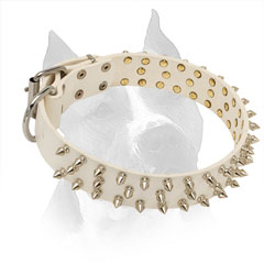 Amstaff White Leather Collar with Silver-like Metal Parts