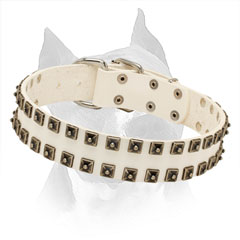 Amstaff White Leather Collar with 2 Rows of Nickel Studs
