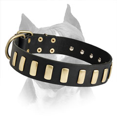 Daily Walking Leather Dog Collar