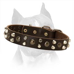 Daily Walking In Style Super Strong Amstaff Leather Dog  Collar