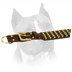 Extraordinary Decorated With Spikes Leather Dog Collar