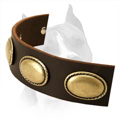 Super Strong High Quality Dog Collar Will Serve You For  Years