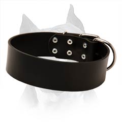 Easily Adjustable Leather Dog Collar For Comfortable  Use