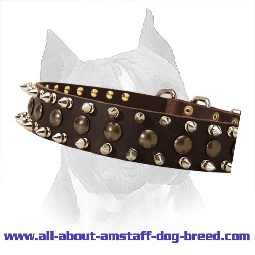 LEATHER DESIGNER DOG COLLAR, BRASS STUDDED WITH STAFFY KNOT 14-18 ALL  COLOUR