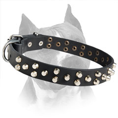 Ultra-Modern Leather Dog Collar For Amstaff Dog Breed