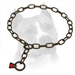 Metal Fur Saver Collar For Amstaff Walking And Training