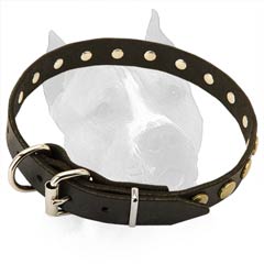 Premium Quality Leather Dog Collar With Decoration