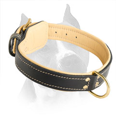 100% Full Grain Natural Leather Dog Collar