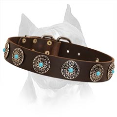 Everyday Leather Dog Collar With Astonishing  Decoration