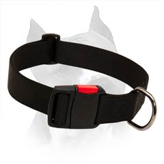 Nylon Dog Collar With A Strong D-Ring
