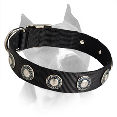 Amstaff Nylon Dog Collar Is Available In 3 Colors