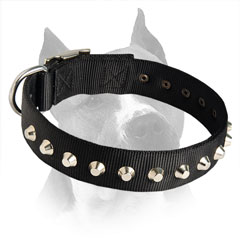 Walking And Training Dog Collar Will Keep Your Pet  Under Control