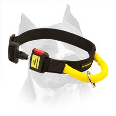 Neatly Stitched Amstaff Nylon Dog Collar
