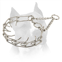 Pinch Collar For Amstaff With Chrome Plated O-Ring