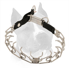 Stainless Steel Pinch Collar for Amstaff Behavior Improving