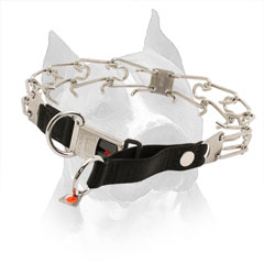 Stainless Steel Pinch Collar for Amstaff with Click Lock System