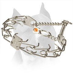 Amstaff Pinch Collar Made of Stainless Steel