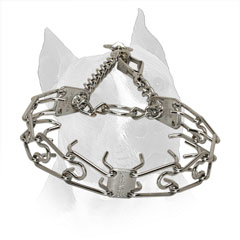Steel Prong Amstaff Collar With Smooth Polished Surface