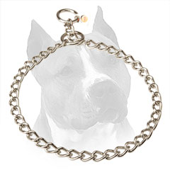 Steel Slip Amstaff Collar With Fur Saving Links