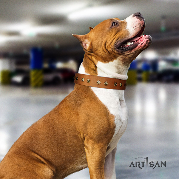 Amstaff handy use leather dog collar with decorations