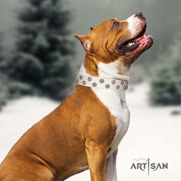 Amstaff embellished leather dog collar for walking