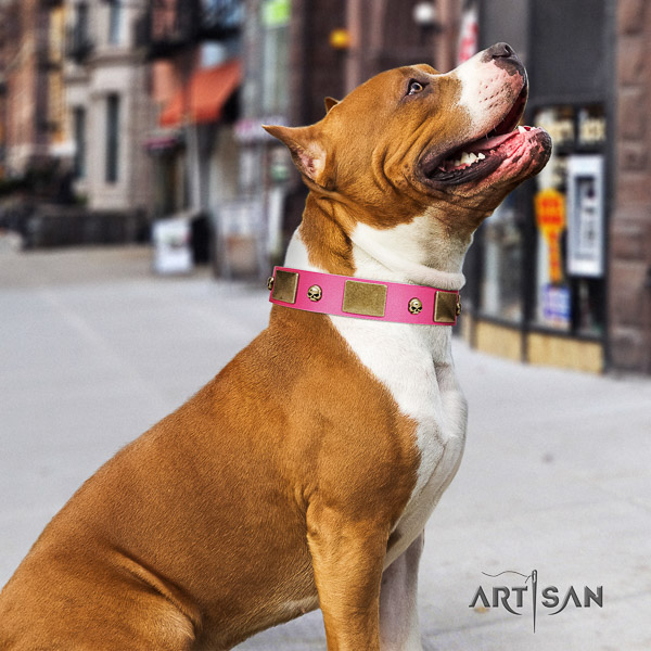 Amstaff easy adjustable genuine leather dog collar for comfortable wearing